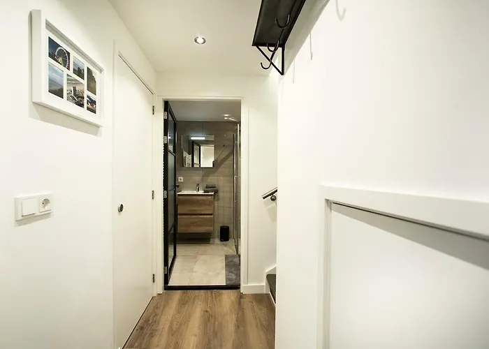 Apartment Excellent Zandvoort